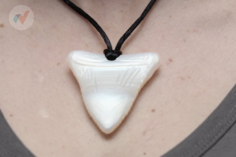 FyzioFlex Chew-it Tooth - logopedické hryzátko - Farba: Sveto hnedá