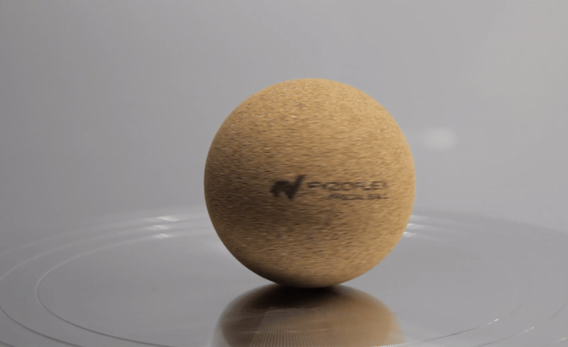 FyzioFlex Fascia Ball